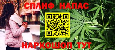 шишки Ефремов