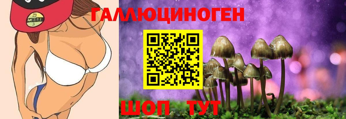 Псилоцибиновые грибы ЛСД Новосибирск